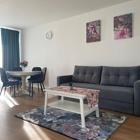 Focus Apartament Флорешты Экстерьер фото